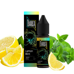 Продукт Chaser Salt 30ml - Lemon Mint