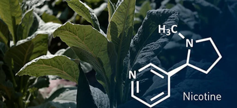 органический никотин